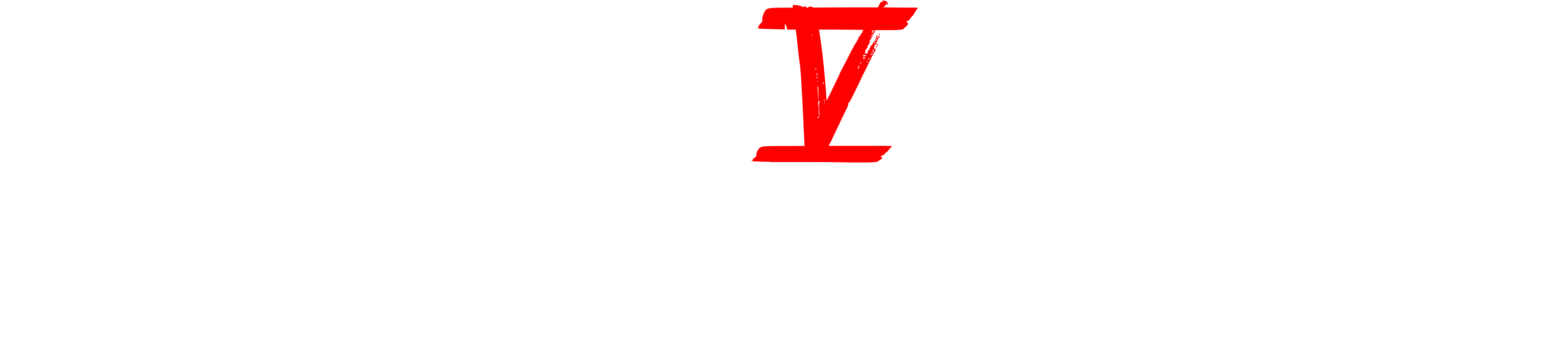 TAMMER SHOOTOUT 2026